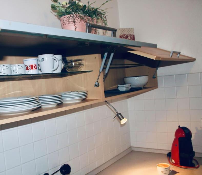 Jasmine Apartment - Free Parking - City Center - Skibus - Tatralandia 5Km Lipótszentmiklós Kültér fotó